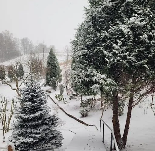 Roubenka U Kaplicky Liberec